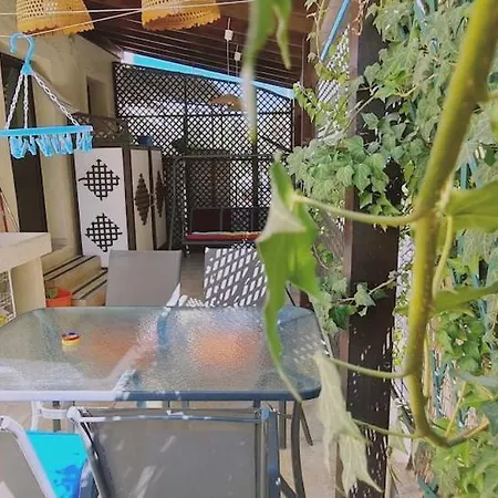 Apartment Garden